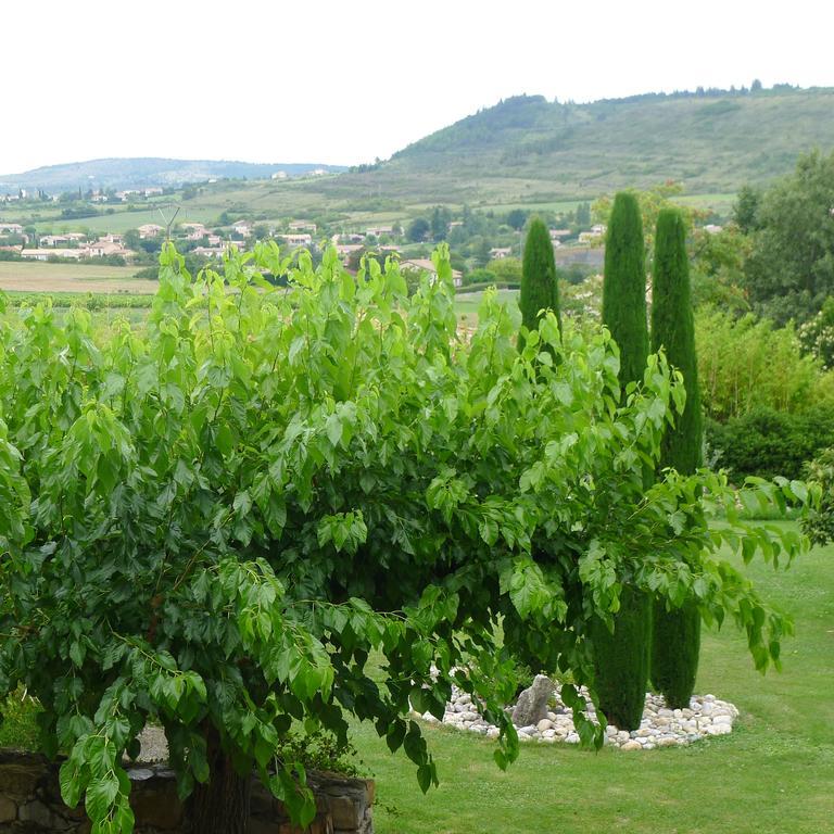 Hotel Domaine De La Manse Villeneuve-de-Berg Esterno foto