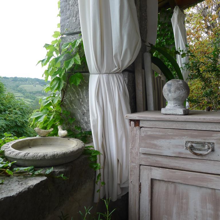 Hotel Domaine De La Manse Villeneuve-de-Berg Esterno foto