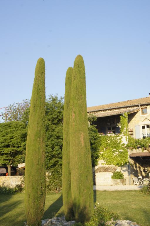 Hotel Domaine De La Manse Villeneuve-de-Berg Esterno foto