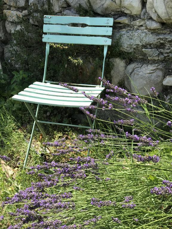 Hotel Domaine De La Manse Villeneuve-de-Berg Esterno foto